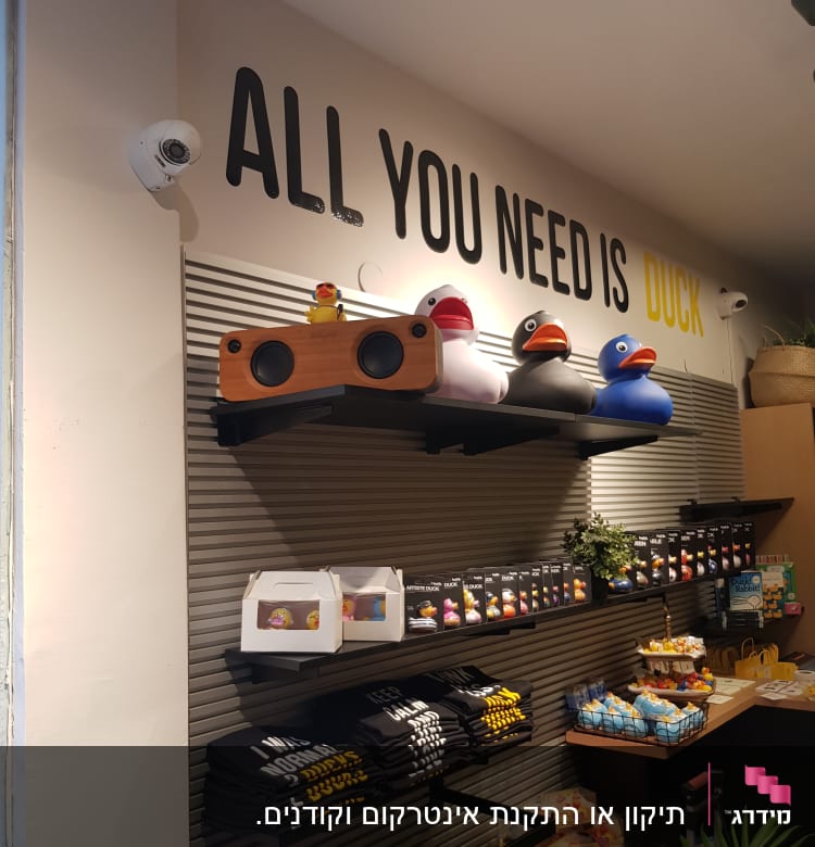 חנות עם מדפים, ברווזי גומי ומצלמות אבטחה